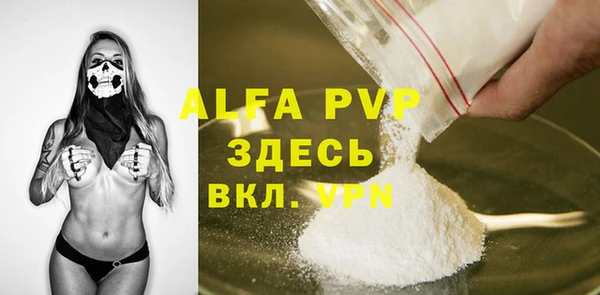 сатива Арсеньев