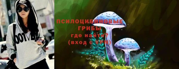 сатива Арсеньев