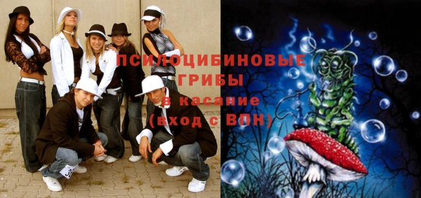 амф Аркадак
