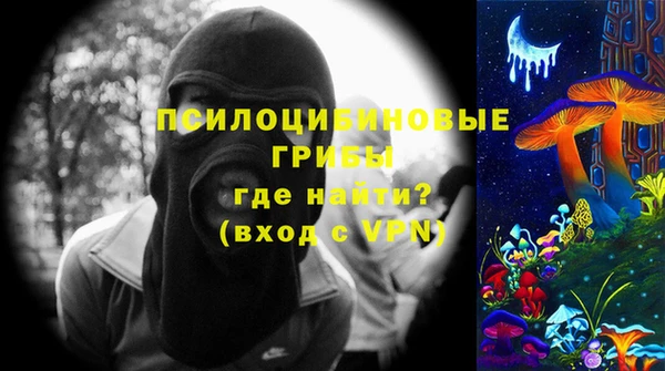 сатива Арсеньев