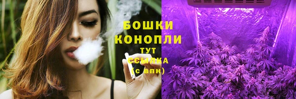 амф Аркадак