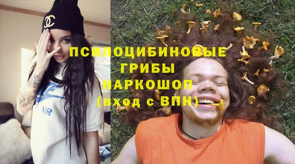 сатива Арсеньев