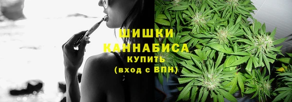 амф Аркадак