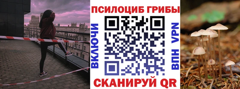 Псилоцибиновые грибы Psilocybe где найти наркотики Татарск